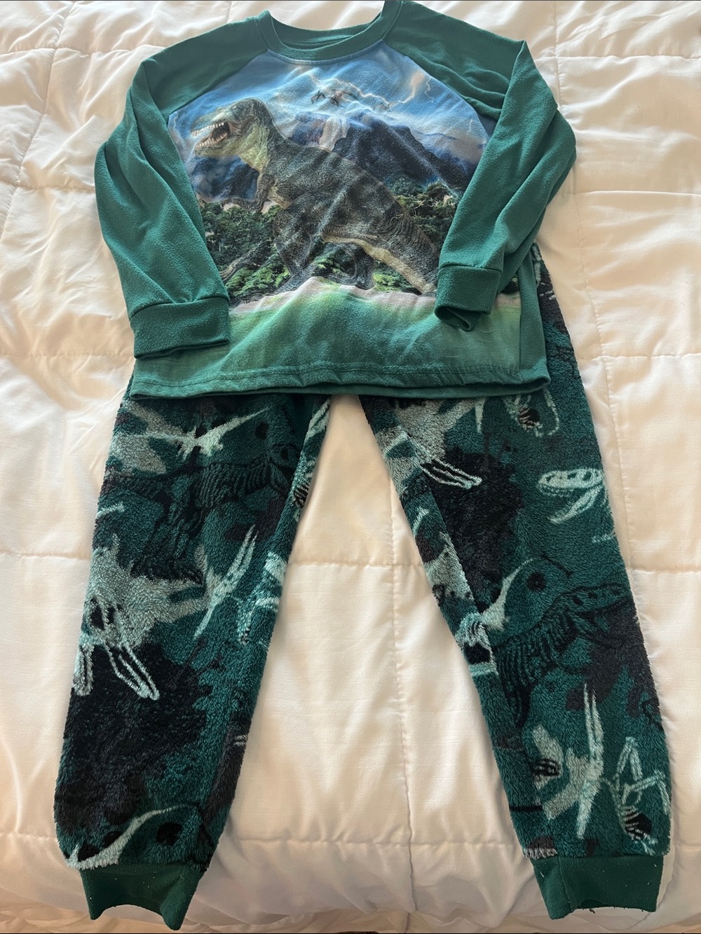 wonder nation Green Teal Dinosaur Fleece Pajama Set